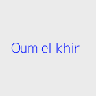 Agence immobiliere oum el khir